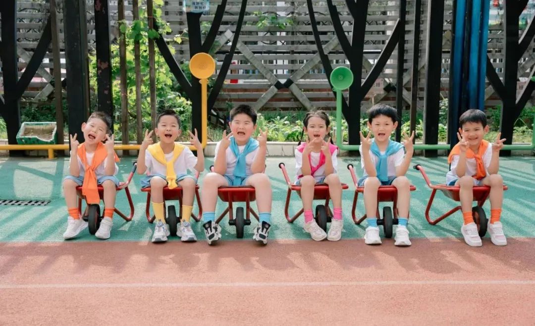 合肥市晨星幼教集团教师招聘