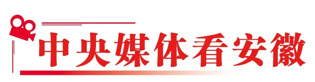 合肥决定：今年秋季学期起，全市推广！