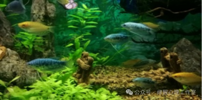 安徽合肥游玩攻略
