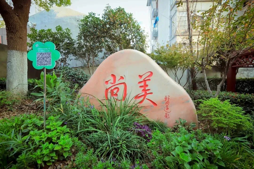 【招聘】合肥市青年路小学招聘启事