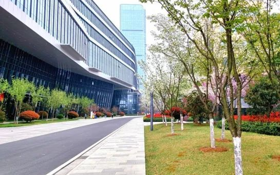 超算智芯(合肥)科技有限公司招聘