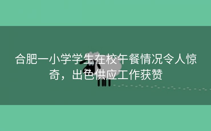 合肥一小学学生在校午餐情况令人惊奇,出色供应工作获赞