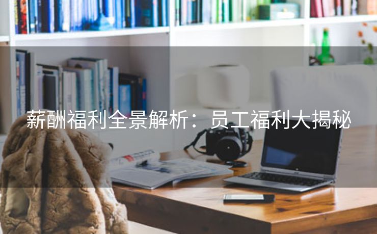 薪酬福利全景解析:员工福利大揭秘