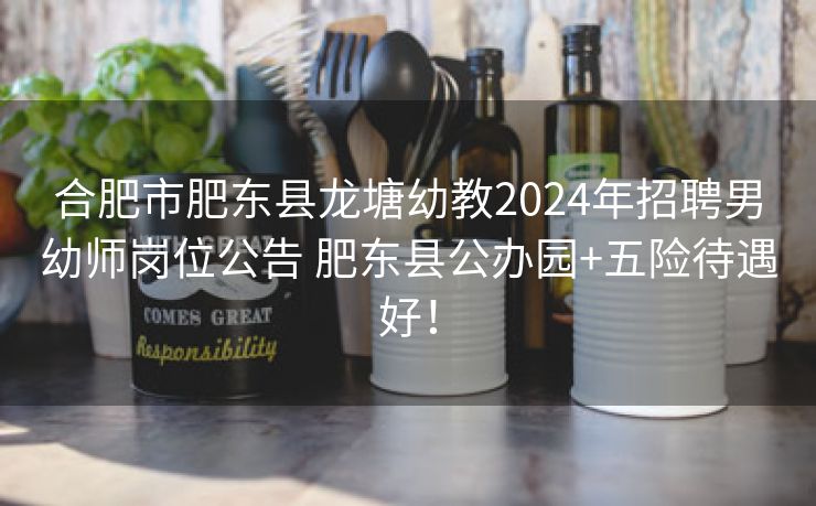 合肥市肥东县龙塘幼教2024年招聘男幼师岗位公告 肥东县公办园+五险待遇好！