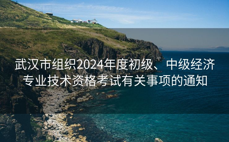 武汉市组织2024年度初级、中级经济专业技术资格考试有关事项的通知