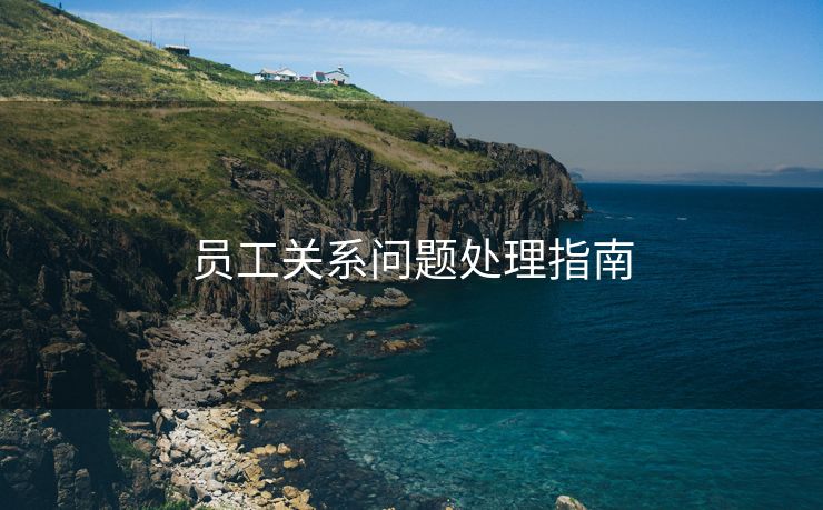 员工关系问题处理指南