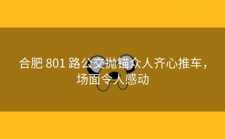 合肥 801 路公交抛锚众人齐心推车，场面令人感动