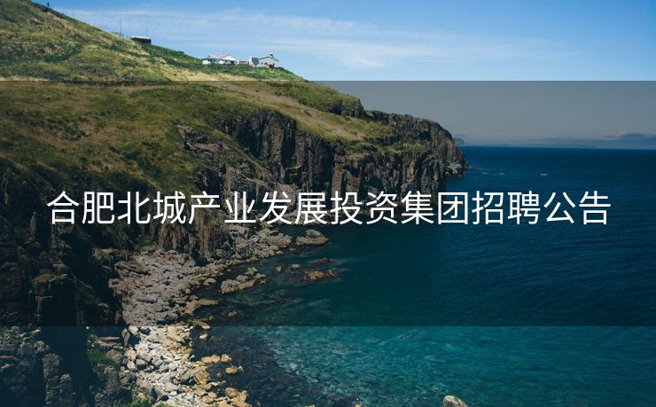 合肥北城产业发展投资集团招聘公告