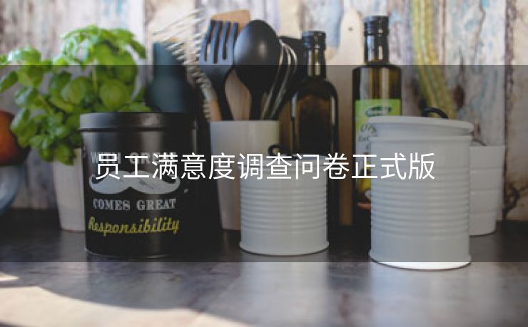 员工满意度调查问卷正式版