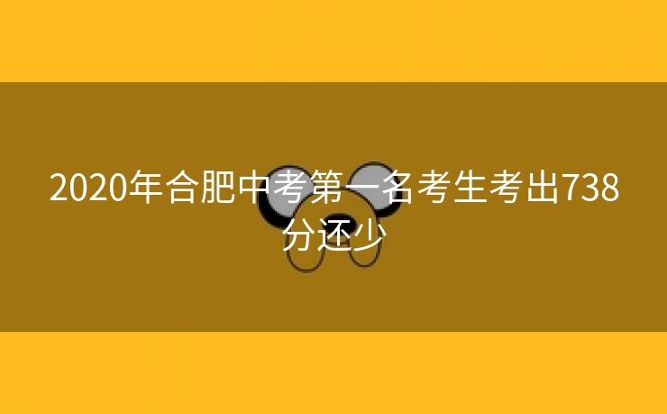 2020年合肥中考第一名考生考出738分还少