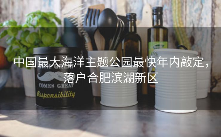中国最大海洋主题公园最快年内敲定，落户合肥滨湖新区