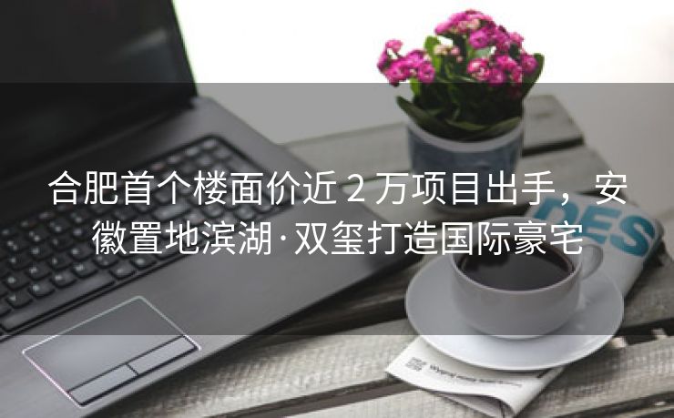 合肥首个楼面价近 2 万项目出手，安徽置地滨湖·双玺打造国际豪宅