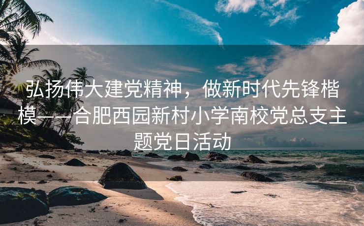 弘扬伟大建党精神，做新时代先锋楷模——合肥西园新村小学南校党总支主题党日活动