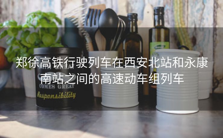郑徐高铁行驶列车在西安北站和永康南站之间的高速动车组列车