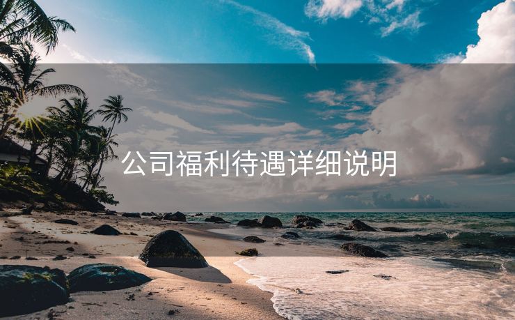 公司福利待遇详细说明