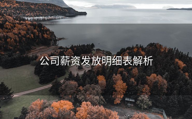 公司薪资发放明细表解析