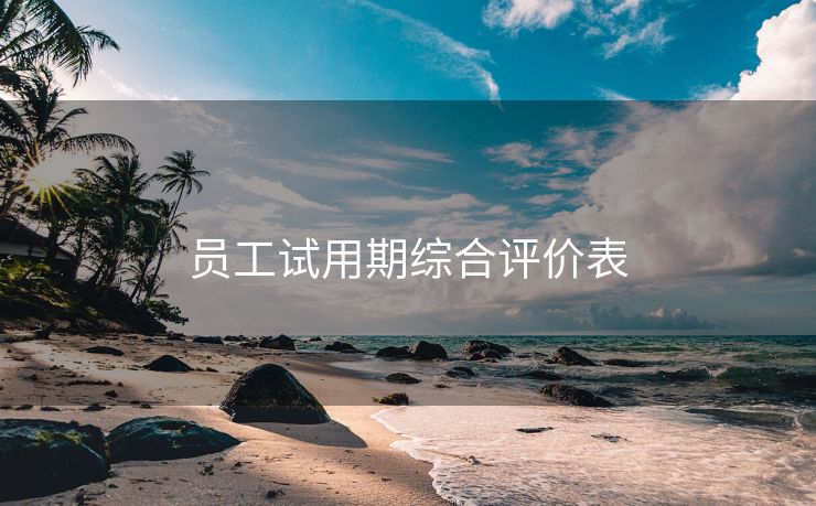 员工试用期综合评价表