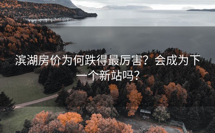 滨湖房价为何跌得最厉害？会成为下一个新站吗？