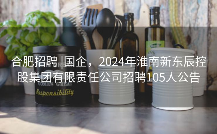 合肥招聘 |国企，2024年淮南新东辰控股集团有限责任公司招聘105人公告