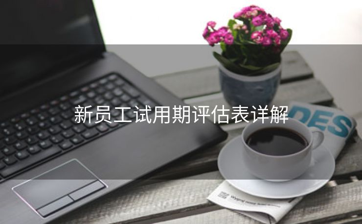 新员工试用期评估表详解