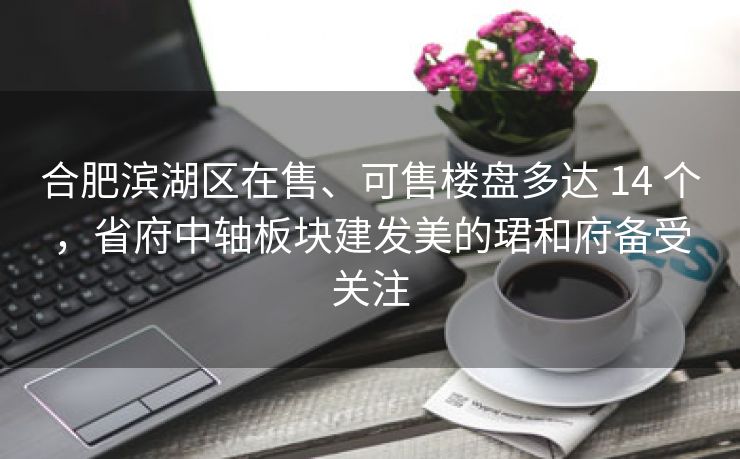 合肥滨湖区在售、可售楼盘多达 14 个，省府中轴板块建发美的珺和府备受关注