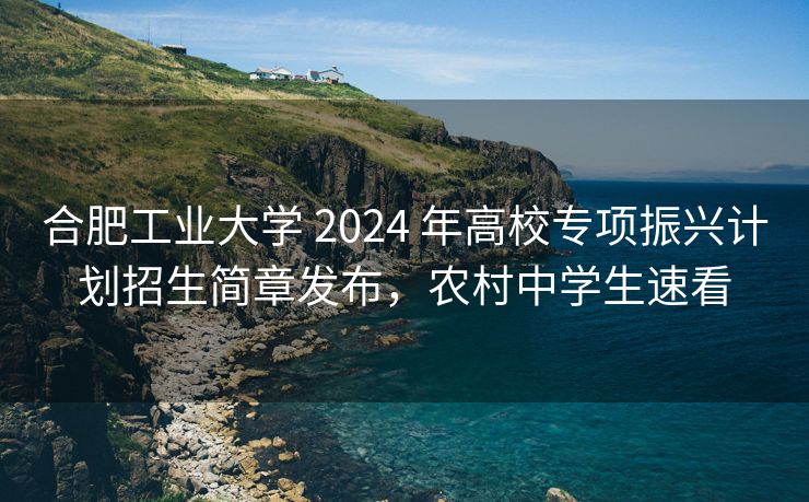 合肥工业大学 2024 年高校专项振兴计划招生简章发布，农村中学生速看