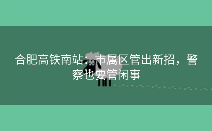 合肥高铁南站:市属区管出新招,警察也要管闲事