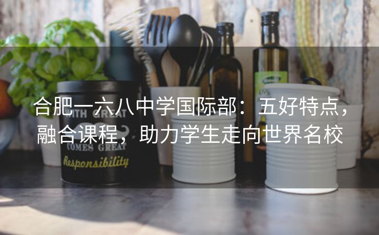 合肥一六八中学国际部：五好特点，融合课程，助力学生走向世界名校