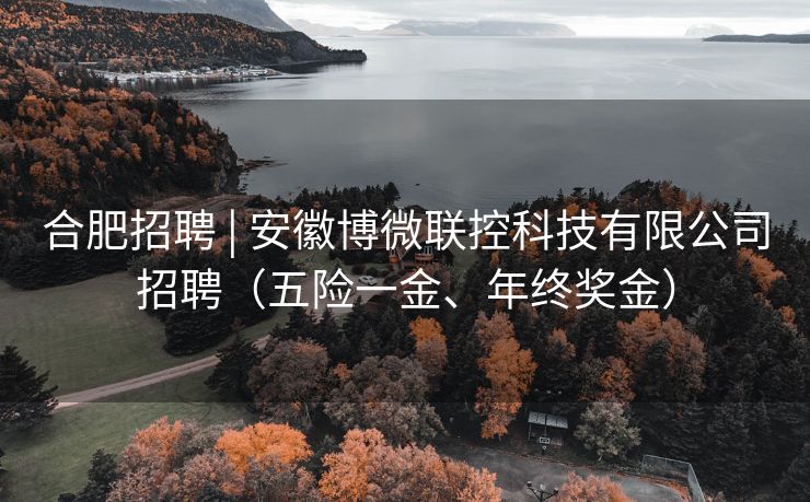 合肥招聘 | 安徽博微联控科技有限公司招聘（五险一金、年终奖金）