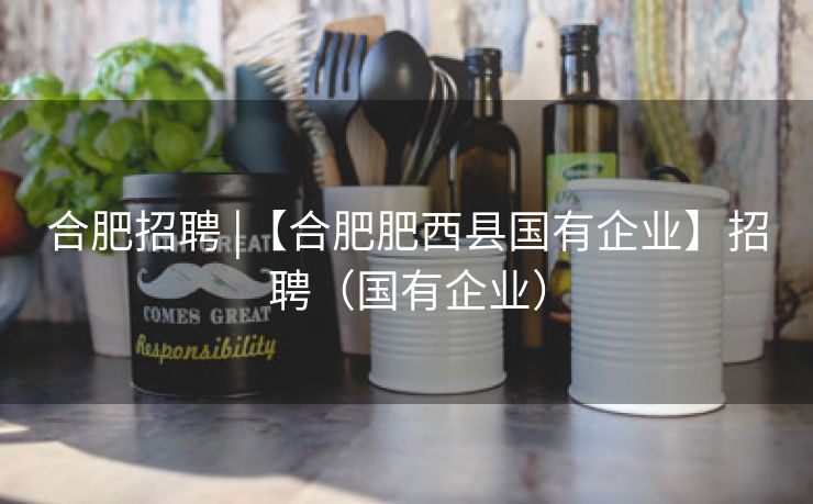 合肥招聘 |【合肥肥西县国有企业】招聘（国有企业）