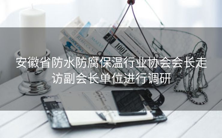 安徽省防水防腐保温行业协会会长走访副会长单位进行调研