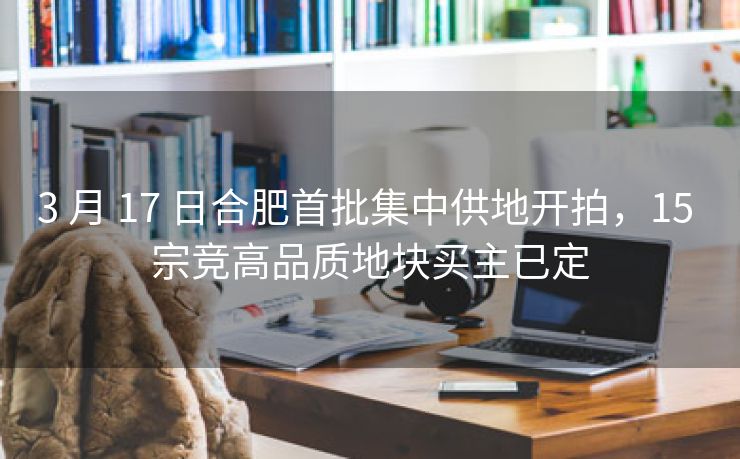 3 月 17 日合肥首批集中供地开拍，15 宗竞高品质地块买主已定