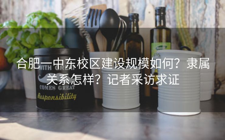 合肥一中东校区建设规模如何？隶属关系怎样？记者采访求证