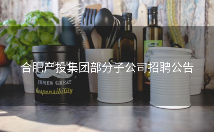 合肥产投集团部分子公司招聘公告