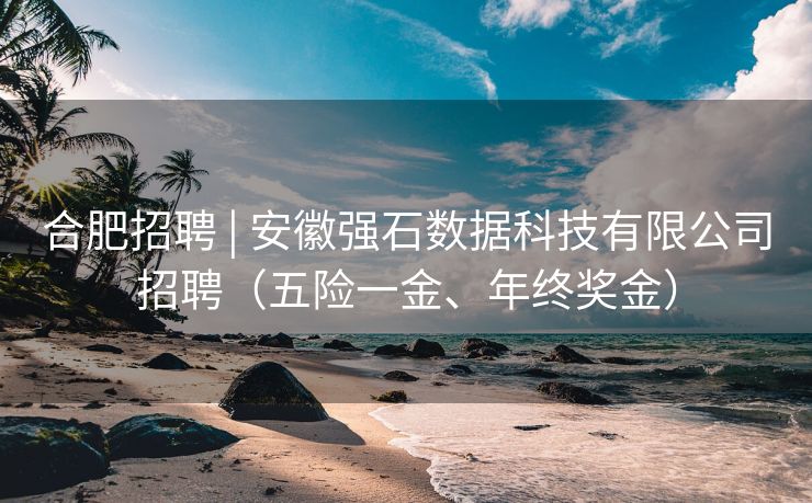 合肥招聘 | 安徽强石数据科技有限公司招聘（五险一金、年终奖金）