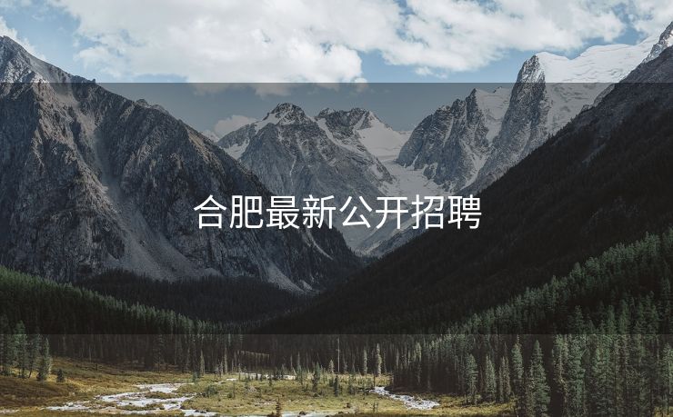 合肥最新公开招聘