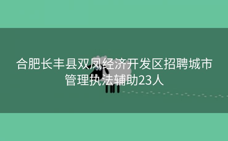 合肥长丰县双凤经济开发区招聘城市管理执法辅助23人