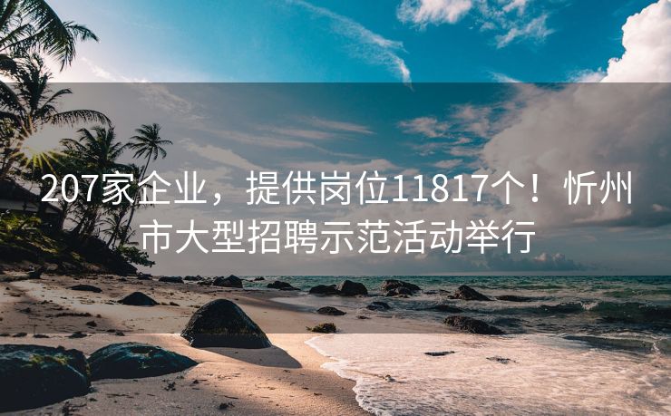 207家企业，提供岗位11817个！忻州市大型招聘示范活动举行