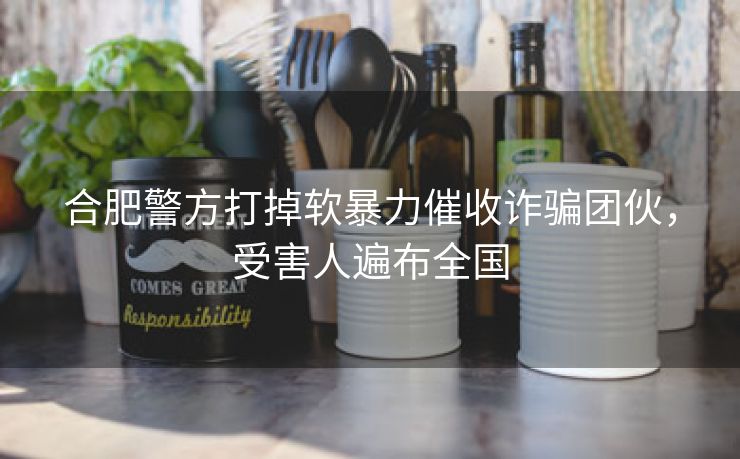 合肥警方打掉软暴力催收诈骗团伙，受害人遍布全国