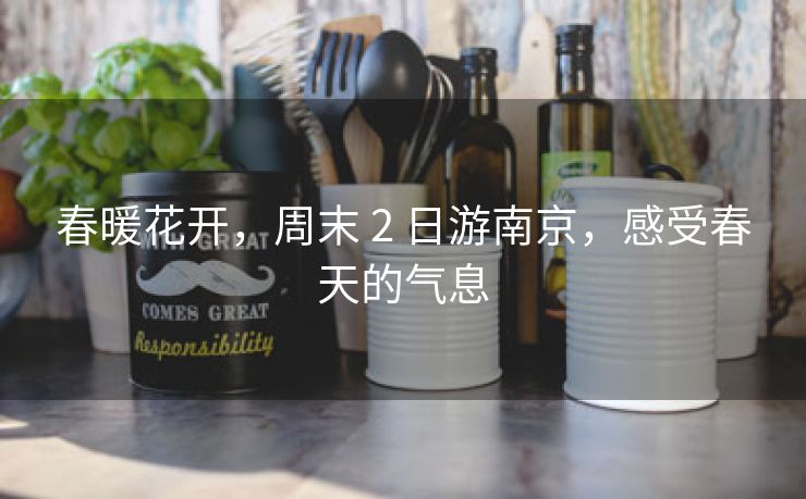 春暖花开,周末 2 日游南京,感受春天的气息