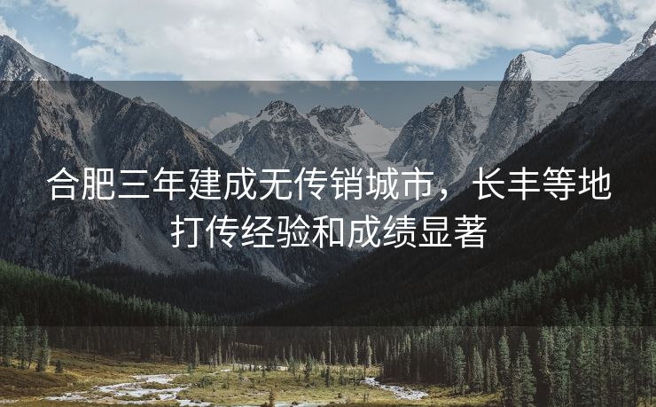 合肥三年建成无传销城市，长丰等地打传经验和成绩显著