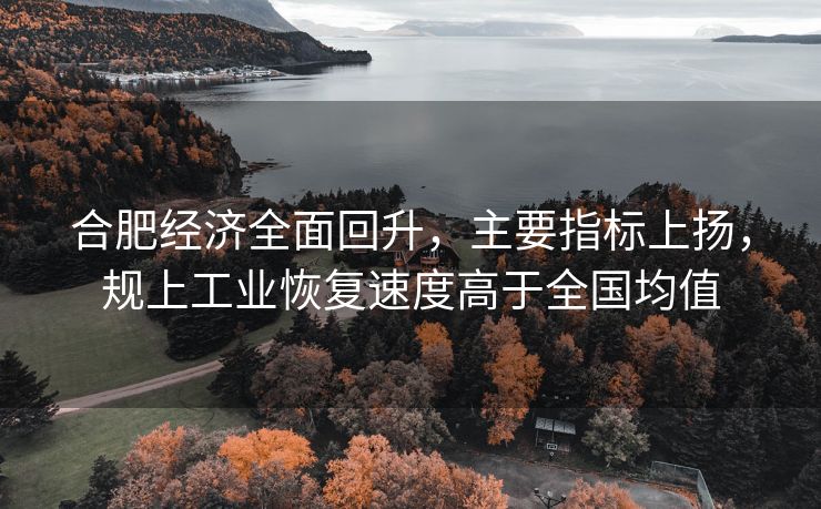 合肥经济全面回升，主要指标上扬，规上工业恢复速度高于全国均值