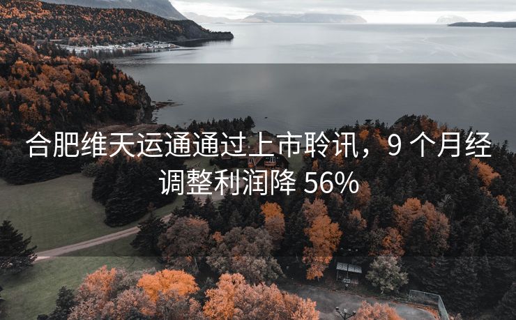 合肥维天运通通过上市聆讯，9 个月经调整利润降 56%
