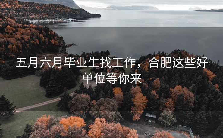 五月六月毕业生找工作，合肥这些好单位等你来