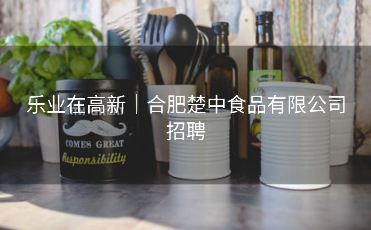 乐业在高新｜合肥楚中食品有限公司招聘