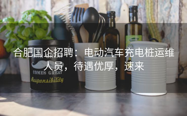 合肥国企招聘：电动汽车充电桩运维人员，待遇优厚，速来