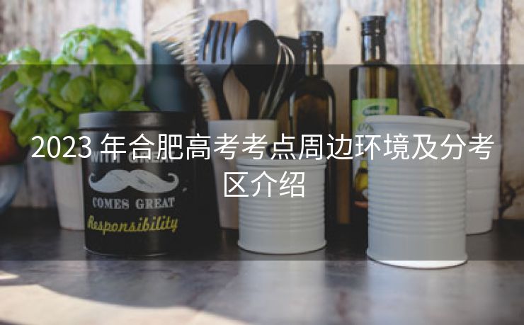 2023 年合肥高考考点周边环境及分考区介绍