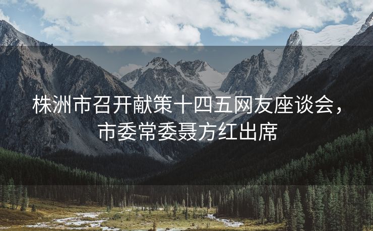 株洲市召开献策十四五网友座谈会，市委常委聂方红出席
