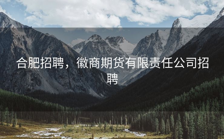 合肥招聘，徽商期货有限责任公司招聘