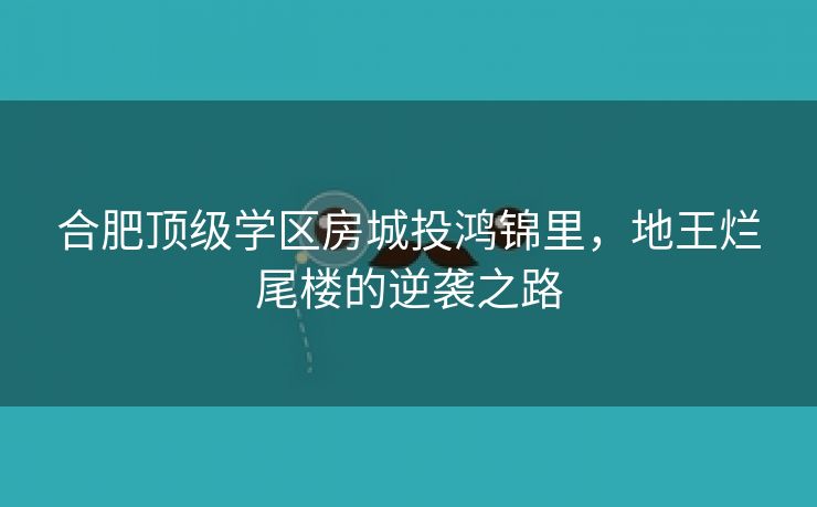合肥顶级学区房城投鸿锦里，地王烂尾楼的逆袭之路